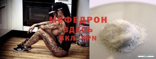 шишки Белокуриха