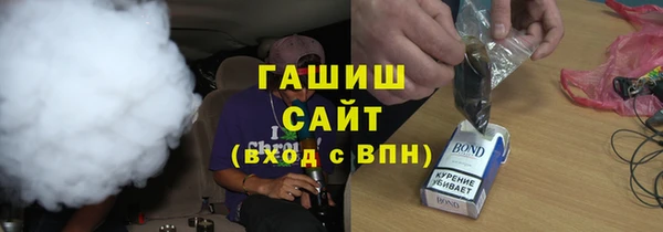 шишки Белокуриха