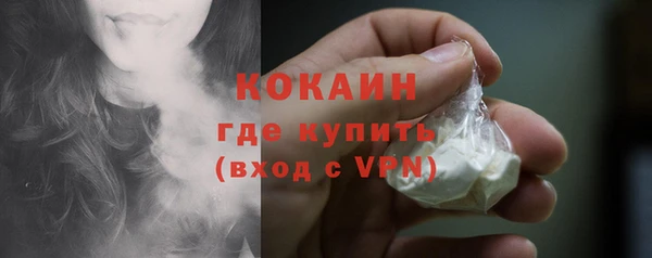 шишки Белокуриха