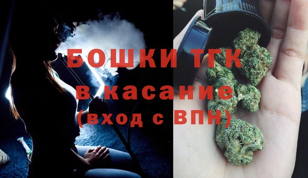 шишки Белокуриха