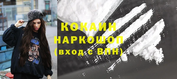 шишки Белокуриха
