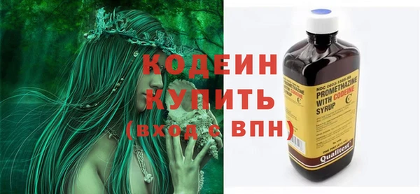 шишки Белокуриха