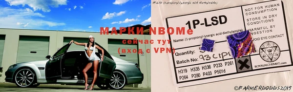 шишки Белокуриха