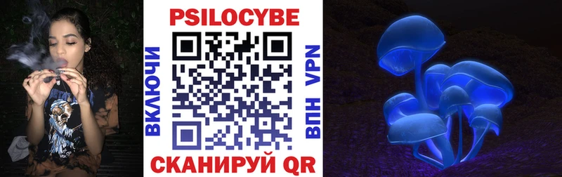 Галлюциногенные грибы Psilocybine cubensis  Вольск 